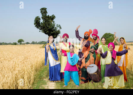 La famille sikh avec dancers performing dance folklorique bhangra dans champ de blé M.# 702X;702Y;a;779Z, 702C 779B 779;;D;779E 779F 779p. Banque D'Images