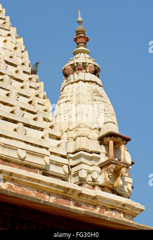 Toit du temple Jagat Shiromani , Jaipur , Rajasthan , Inde , Asie Banque D'Images