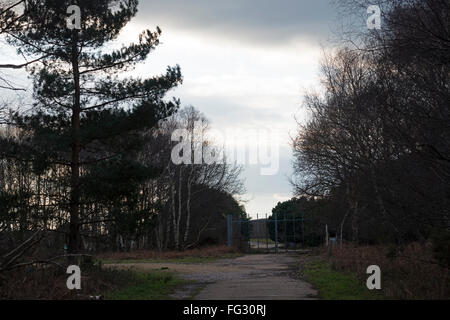 Porte de l'Orient, Woodbridge Airfield, Sewen, Suffolk, Angleterre. Banque D'Images