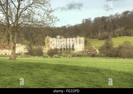 L'abbaye de Rievaulx le North York Moors National Park Banque D'Images