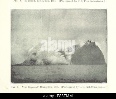 Ce livre vintage fournit des comptes rendus détaillés des volcans trouvés à travers l’Amérique du Nord, en se concentrant sur leurs caractéristiques géologiques, l’histoire de l’éruption et l’impact régional. Le travail offre un aperçu scientifique mais accessible de l’activité volcanique dans la région. Banque D'Images