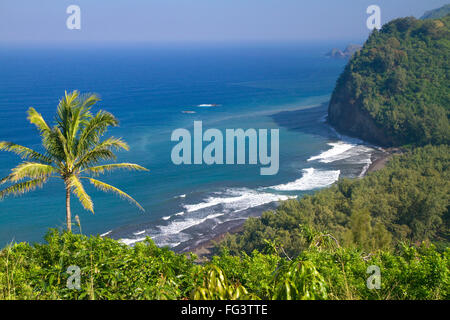 Donnent sur l'océan Pacifique et une plage de sable noir à la Vallée de Pololu sur la côte est de la montagne de Kohala sur la grande île d' Banque D'Images