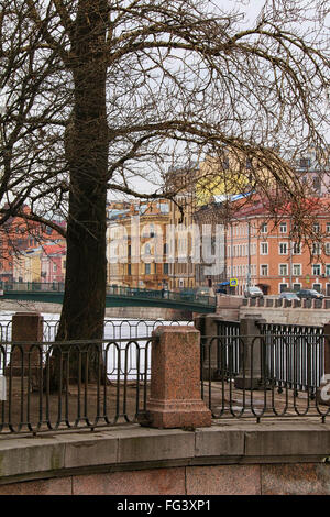 L'arbre sur une digue de la rivière fontanka dans st. Petersburg, Russie Banque D'Images