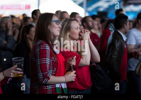 Le Pays de Galles rugby fans passionnés watch Pays de Galles au cours de la Coupe du Monde de Rugby 2015 dans la Fan Zone de Cardiff à Cardiff, Pays de Galles du Sud. Banque D'Images