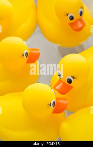 Canards en caoutchouc flottant sur l'eau Banque D'Images