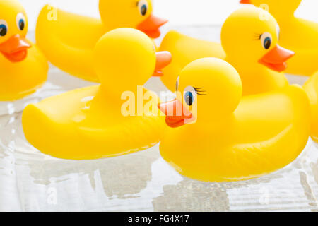 Canards en caoutchouc flottant sur l'eau Banque D'Images