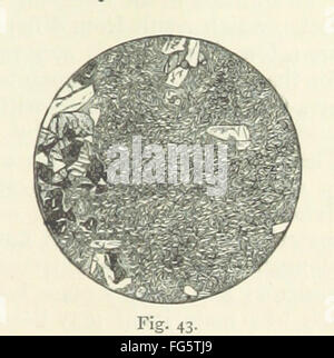 'An Intermediate Text-Book of Geology' de C. Lapworth s'appuie sur le travail d'introduction de David, offrant des perspectives plus avancées en géologie. Le livre couvre divers processus géologiques, les formations rocheuses et l'histoire de la Terre, ce qui le rend approprié pour les étudiants et ceux qui s'intéressent aux sciences géologiques. Banque D'Images