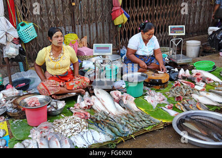 Les femmes à la vente du poisson dans un marché de Rue, Yangon, Myanmar Banque D'Images