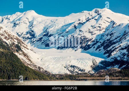 Un glacier se trouve dans la vallée de montagnes couvertes de neige au-dessus des côteaux de conifères à Kings Bay, Prince William Sound Banque D'Images