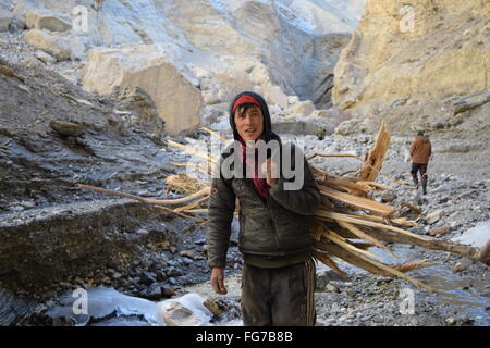 Porter la collecte du bois de feu au cours de Trek Chadar Banque D'Images