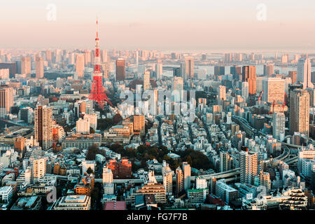 Tokyo, Japon - 14 janvier 2016 : Tokyo Skyline at sunset. Banque D'Images