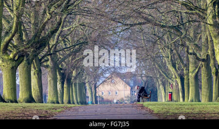 Abington, Northampton, Royaume-Uni 18 février 2016. Météo France : le dirigeant d'une personne assise sur un banc, profitant du soleil tôt le matin après une journée de pluie hier. Credit : Keith J Smith./Alamy Live News Banque D'Images