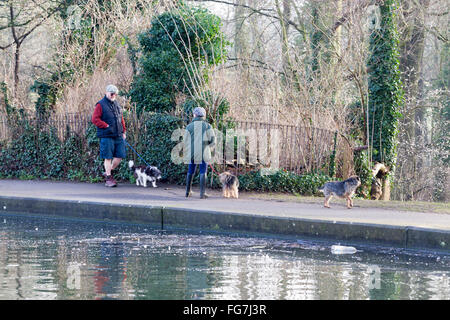 Abington, Northampton, Royaume-Uni 18 février 2016. Météo France : chiens de promeneurs et joggeurs profitant de l'ensoleillement au petit matin après une journée de pluie hier. Credit : Keith J Smith./Alamy Live News Banque D'Images