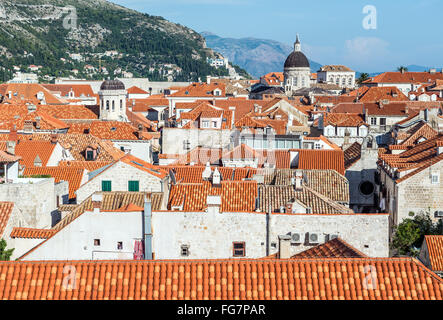 Cathédrale de l'Assomption de la Vierge Marie vue depuis les remparts de Dubrovnik, sur la vieille ville de la ville de Dubrovnik, Croatie Banque D'Images