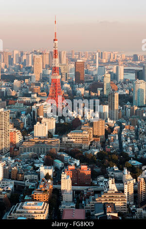 Tokyo, Japon - 14 janvier 2016 : Tokyo Skyline at sunset. Banque D'Images