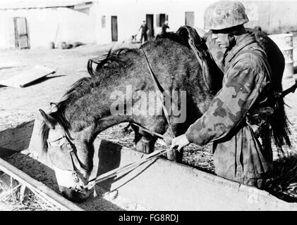 Le tableau de la propagande nazie montre un messager de la Wehrmacht allemande avec son cheval en Afrique du Nord. La photo a été prise en mars 1943. Fotoarchiv für Zeitgeschichte - PAS DE SERVICE DE VIREMENT - Banque D'Images