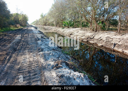 Un fossé fait pour vidanger l'eau de terre en Floride, USA Banque D'Images