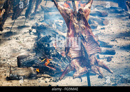 Patagonie Argentine asado d'agneau grillé al asador Banque D'Images