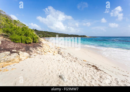 Belle région préservée, tropical désertes de sable et mer turquoise, Half Moon Bay, Antigua, Antigua et Barbuda, Antilles Banque D'Images