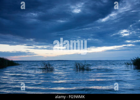 Crépuscule sur le lac Mueritz, Parc National de la Müritz, Mecklembourg-Poméranie-Occidentale. Allemagne Banque D'Images