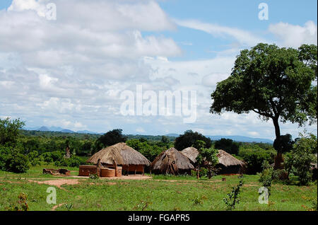 Huttes africaines - Zambie Banque D'Images