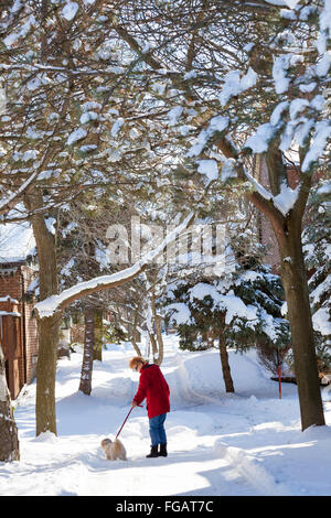 Woman in Red Jacket prend son petit chien (shih tzu) dans une forêt ou dans une région rurale dans la neige profonde dans le Nord de l'Ontario, Canada Banque D'Images