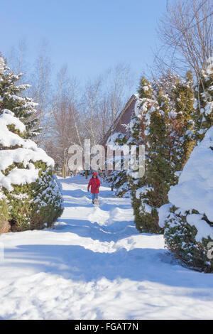 Woman in Red Jacket prend son petit chien (shih tzu) dans une forêt ou dans une région rurale dans la neige profonde dans le Nord de l'Ontario, Canada Banque D'Images