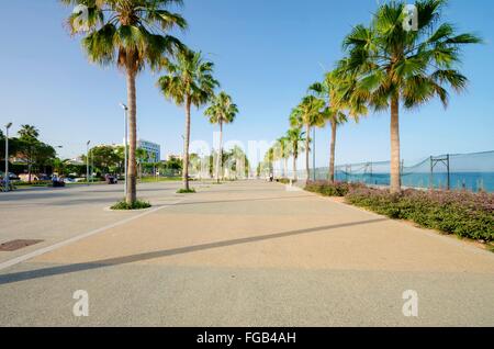 Une vue de Molos, Promenade sur la côte de Limassol à Chypre. Une vue de la promenade chemin entouré de palmiers, le Plaza, gras Banque D'Images