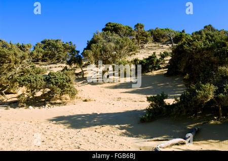 Spanien, Kreta, île de Gavdos, der Strand von Agios Ioannis. Banque D'Images