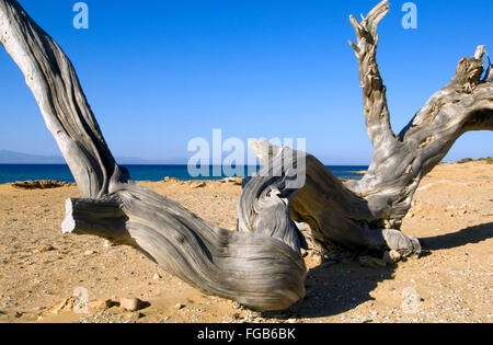 Spanien, Kreta, île de Gavdos, der Strand von Agios Ioannis. Banque D'Images