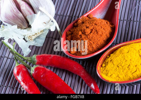 Une macro image d'une sélection d'herbes et épices utilisées dans la production d'une cuisine du Moyen-Orient Banque D'Images