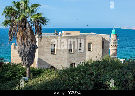 Al-Bahr mosquée à Jaffa, partie la plus ancienne de la ville de Tel Aviv, Israël Banque D'Images