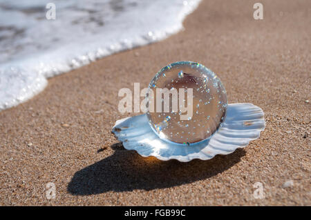 Boule de cristal transparent comme la perle se trouve dans un coquillage dans le sable sur la plage Banque D'Images