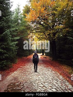 Vue arrière du sac à dos avec femme debout sur Street au milieu d'arbres en forêt durant l'automne