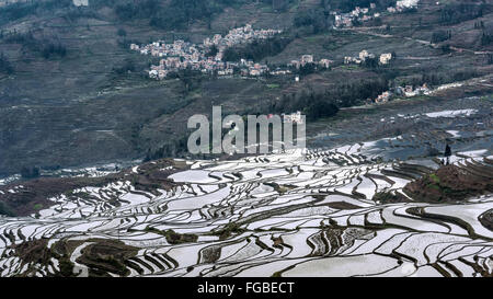 Les terrasses de riz de Duoyishu et villages tôt le matin, Yuanyang County, Province du Yunnan, Chine Banque D'Images