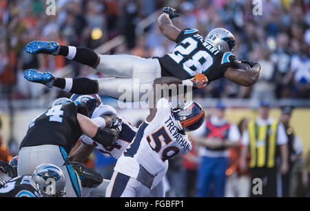 Santa Clara, Californie, États-Unis. 7 Février, 2016. Caroline panthère d'utiliser de nouveau Jonathan Stewart (28) monte sur Denver Broncos secondeur intérieur DANNY TREVATHAN (59) pour un touché au deuxième trimestre de Super Bowl 50 à Levi's Stadium. © Paul Kitagaki Jr/Sacramento Bee/ZUMA/Alamy Fil Live News Banque D'Images