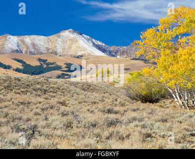 couleurs d'automne au-dessous du pic de quatre-vingts dans la gamme beaverhead (point le plus élevé le long de la frontière entre le montana et l'idaho) près de lima, montana Banque D'Images