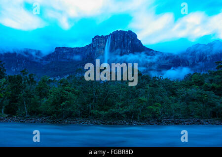 Angel Falls est la plus haute du monde werwith werfall une hauteur de 979 m (807 m d'unterrupted genered automne)l'Auyantepuy. Il Banque D'Images