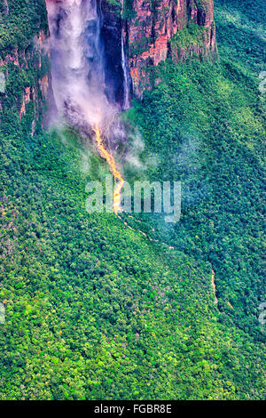 Angel Falls est la plus haute du monde werwith werfall une hauteur de 979 m (807 m d'unterrupted genered automne)l'Auyantepuy. Il Banque D'Images