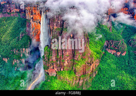 Angel Falls est la plus haute du monde werwith werfall une hauteur de 979 m (807 m d'unterrupted genered automne)l'Auyantepuy. Il Banque D'Images