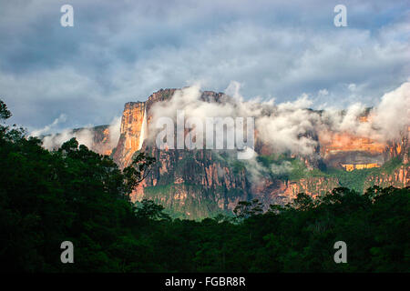 Angel Falls est la plus haute du monde werwith werfall une hauteur de 979 m (807 m d'unterrupted genered automne)l'Auyantepuy. Il Banque D'Images