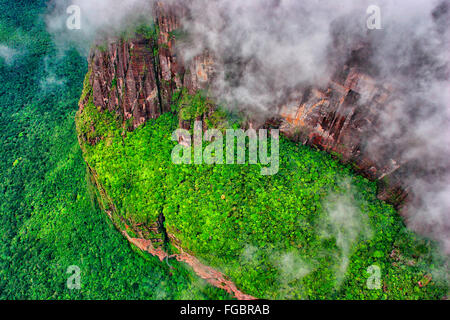 Angel Falls est la plus haute du monde werwith werfall une hauteur de 979 m (807 m d'unterrupted genered automne)l'Auyantepuy. Il Banque D'Images