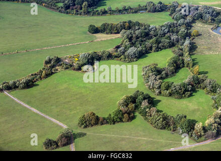 Champs et forêt vu de la fenêtre de l'avion pendant l'approche de l'aéroport de Varsovie, Pologne Banque D'Images