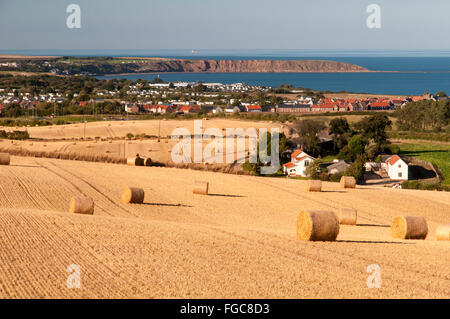 Une vue de champs récoltés avec rouleaux de paille lié à la Retour vers la côte et Filey Brigg. Filey, Yorkshire du Nord. Sep Banque D'Images