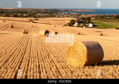 Une vue de champs récoltés avec rouleaux de paille lié à la Retour vers la côte et Filey Brigg. Filey, Yorkshire du Nord. Sep Banque D'Images