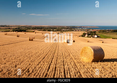 Une vue de champs récoltés avec rouleaux de paille lié à la Retour vers la côte et Filey Brigg. Filey, Yorkshire du Nord. Sep Banque D'Images