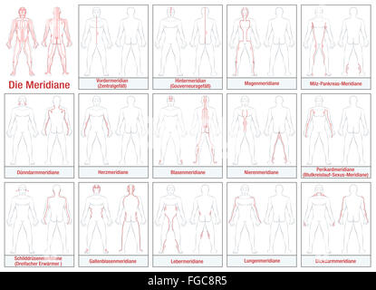 Les méridiens du corps - MARQUAGE EN ALLEMAND - diagramme schématique des principaux méridiens d'acupuncture et leur sens d'écoulement. Banque D'Images