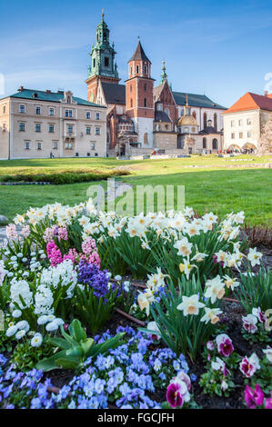 Place principale à l'intérieur de château de Wawel à Cracovie. Les touristes admirer vintage des chapelles. Fleurs de couleur sur le premier plan Banque D'Images