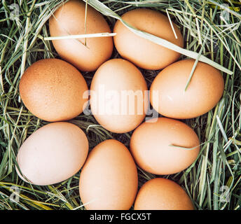 Le poulet cru oeufs dans le panier avec du foin sec. Symbole de Pâques. Photo Détail. Banque D'Images