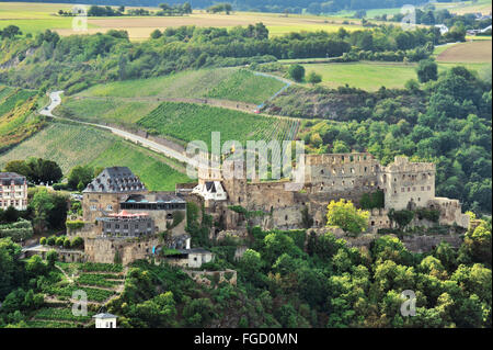 Château de Rheinfels Sankt Goar ville ci-dessus et dans les vignobles en terrasses, Vallée du Haut-Rhin moyen, Allemagne Banque D'Images